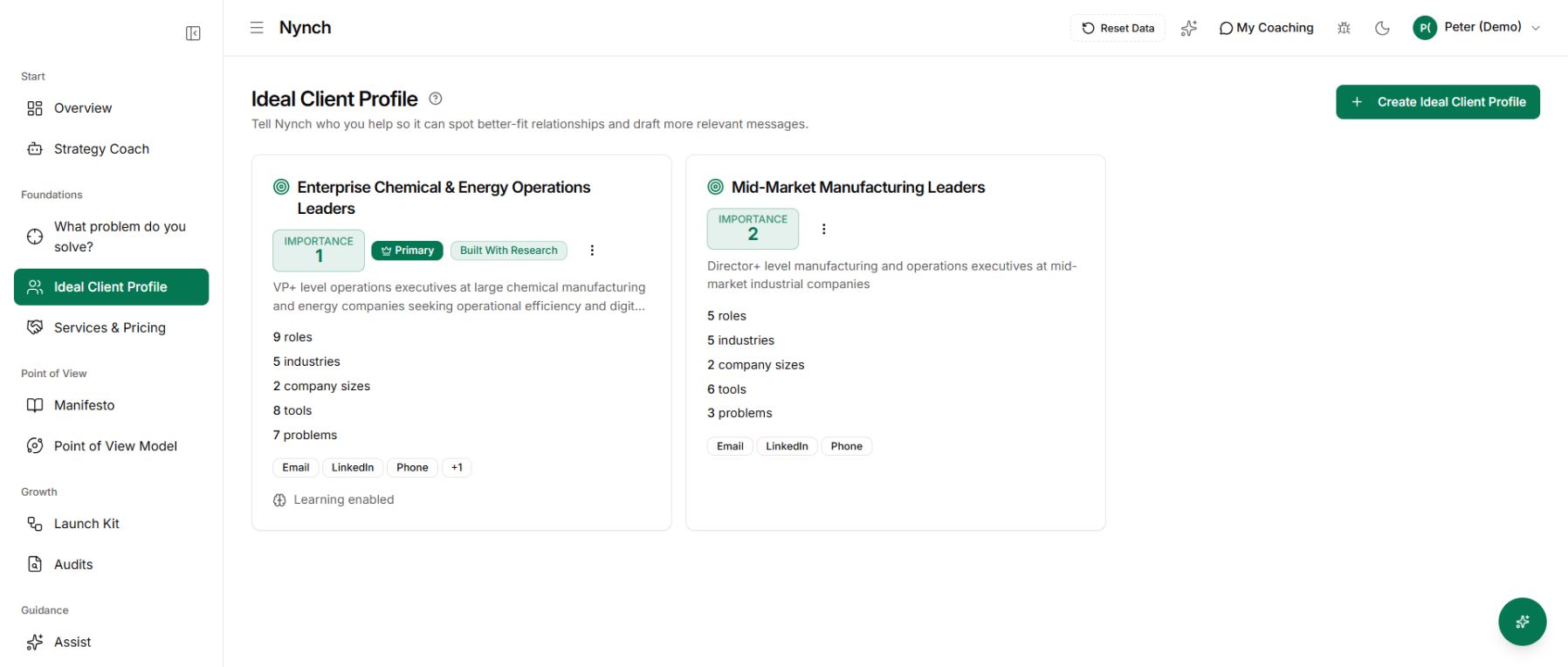 Real ideal client profiles in the Nynch demo account, including buyer roles, industries and problems.