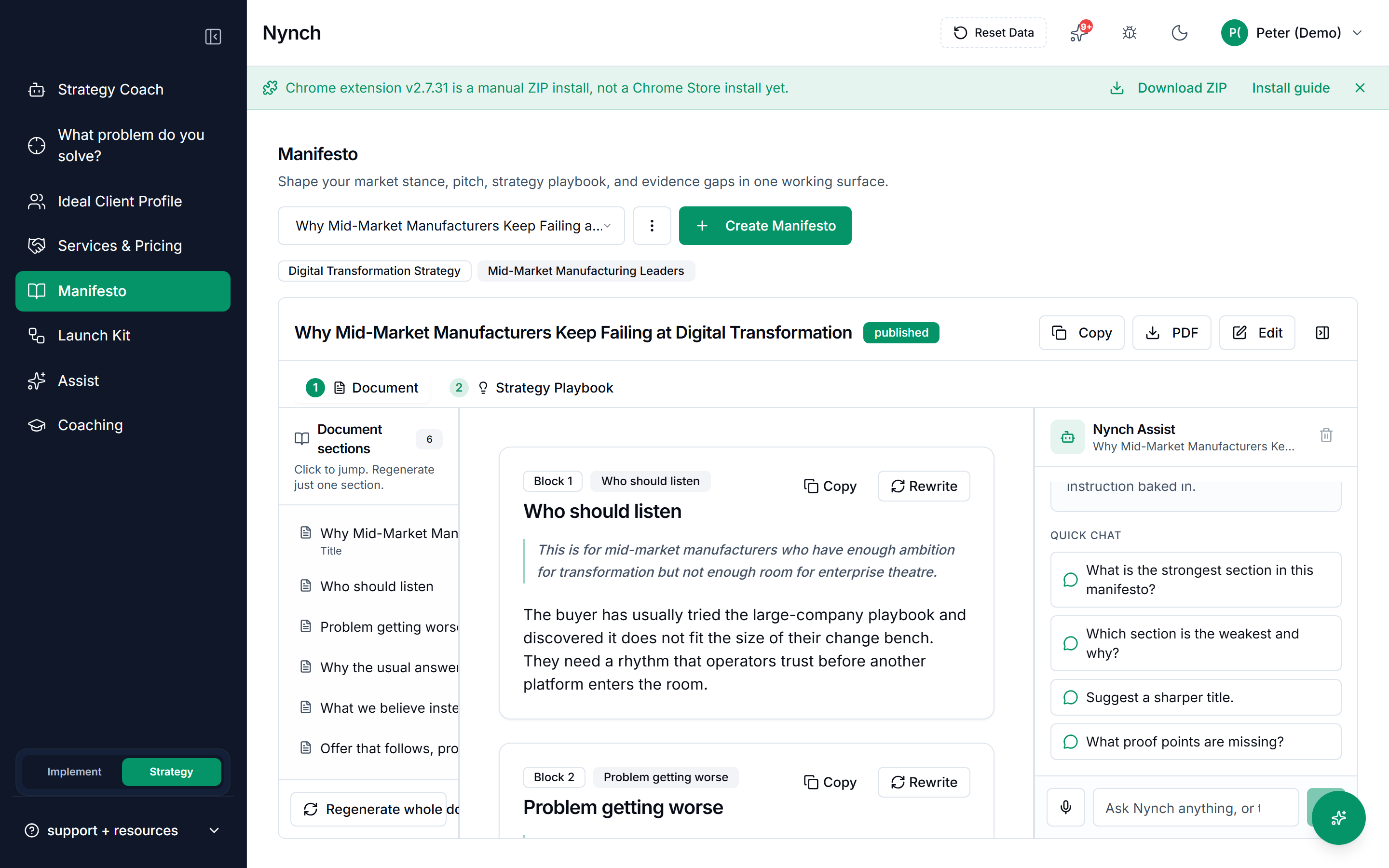 Nynch Strategy tab showing a working strategy canvas with market stance, buyer, problem and evidence sections